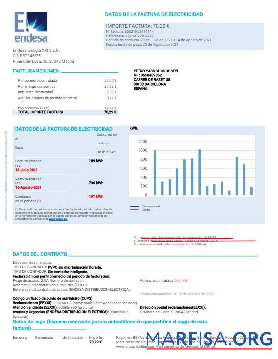 Blank SPAIN ENDESA utility bill Word and PDF template